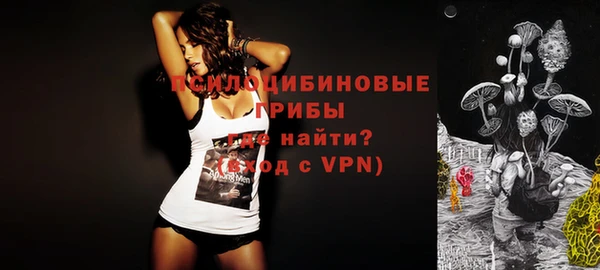 ПСИЛОЦИБИНОВЫЕ ГРИБЫ Апатиты