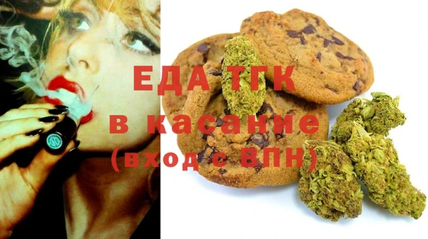 гидра Аша