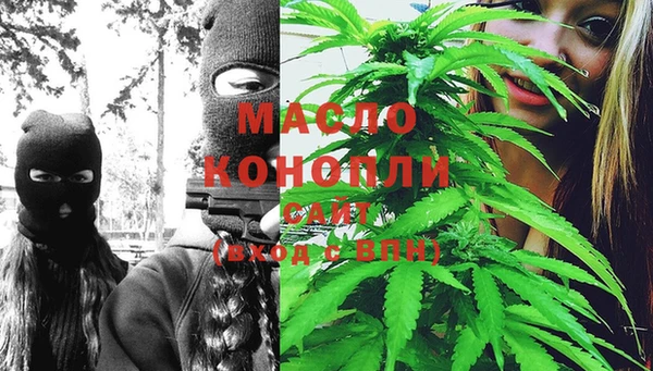 ПСИЛОЦИБИНОВЫЕ ГРИБЫ Апатиты