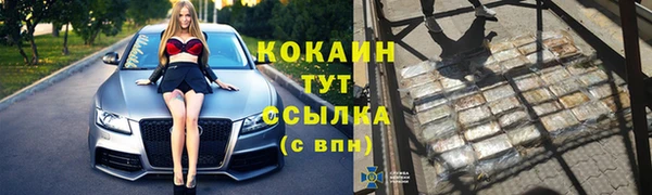 ПСИЛОЦИБИНОВЫЕ ГРИБЫ Апатиты
